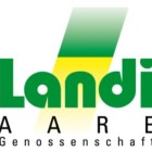 Profil Bild